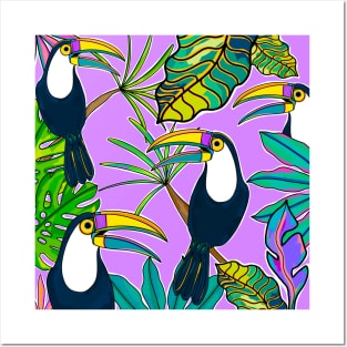 Toucans Posters and Art